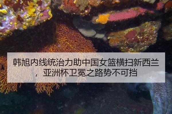 韩旭内线统治力助中国女篮横扫新西兰，亚洲杯卫冕之路势不可挡