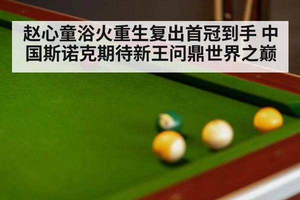 snooker table close up