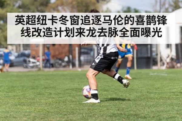 英超纽卡冬窗追逐马伦的喜鹊锋线改造计划来龙去脉全面曝光